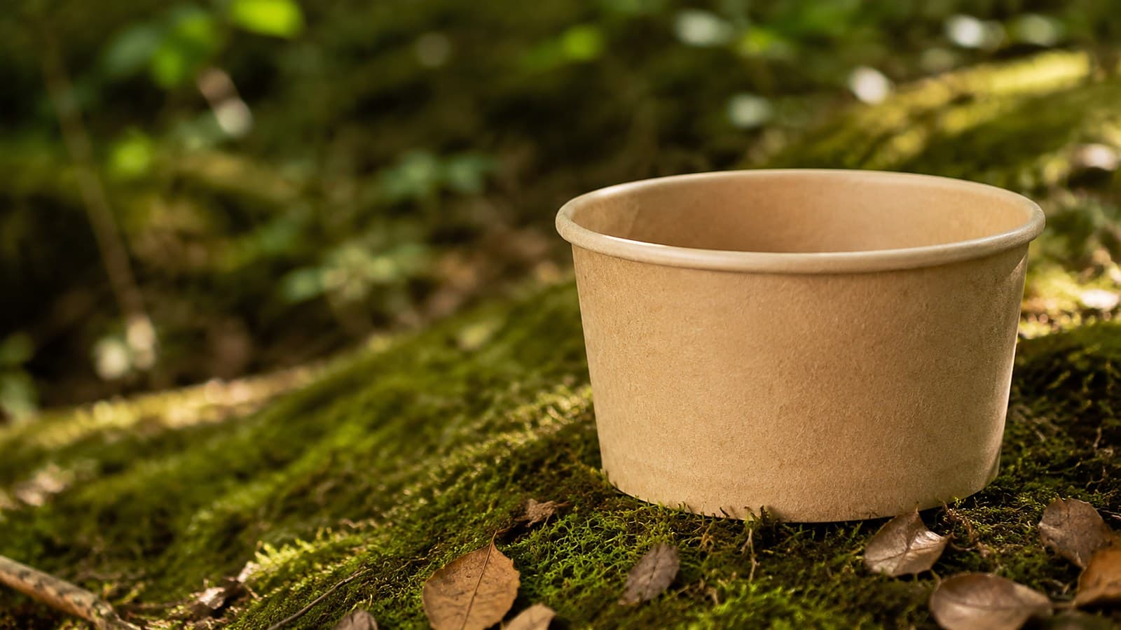 Pote de papel kraft natural, sem impressão, apoiado sobre musgo verde e folhas secas, com luz do sol filtrada pela mata.